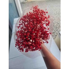 Kırmızı Cipso,gerçek Şoklanmış Cipso 55 gr