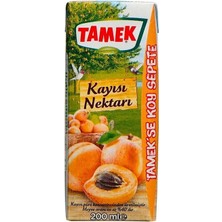 Tamek Kayısı Nektarı 200 ml x 27 Adet