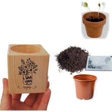 FY Group Kişiye Özel I Love You Temalı Küp Saksıda Papatya Ekim Kiti