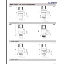 Pakkens 1/2 Dış Dişli Emniyet Ventili