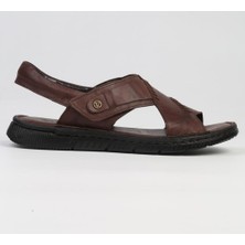 Bags Shoes Pierre Cardin PC-7148 Erkek  Deri Ultra Comfort Anatomik Taban Sandalet