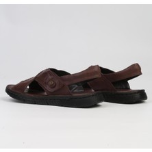 Bags Shoes Pierre Cardin PC-7148 Erkek  Deri Ultra Comfort Anatomik Taban Sandalet