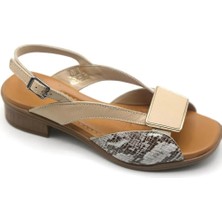 Bags Shoes Venüs 24026020Y Kadın Hakiki Deri Kısa Topuklu Yazlık Ayakkabı