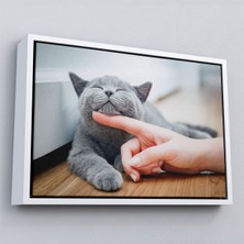 Çerçeveli Sevimli Kedi Dekoratif Kanvas TABLO-6505