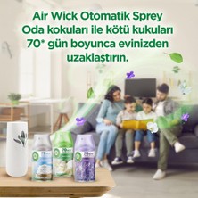 Air Wick Freshmatic Otomatik Sprey & Lavanta Yedek Sprey Oda Kokusu Kiti