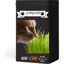 Trescol Pomponet Kedi Çimi  Organik Buğday 100 gr