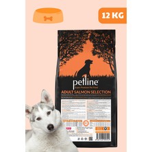 Petline Sensitive Somonlu Yetişkin Köpek Maması 12 kg