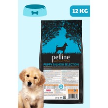 Petline Süper Premium Pretty - Somon Balıklı Yavru Köpek Maması 12KG