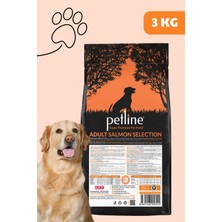 Petline Natural Premium Salmon Somonlu Yetişkin Köpek Maması 3 kg