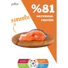 Petline Natural Premium Salmon Somonlu Yetişkin Köpek Maması 3 kg