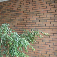 Işıklar Tuğla Klinker Kaplama Tuğlası Anadolu 60 Adet (1m2)