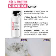 Küf ve Mantar Temizleyici 1 Litre