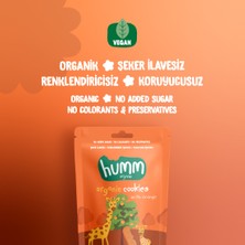 Organik Vegan Portakallı Kurabiye Atıştırmalık Paketi - 12 Adet