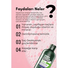 Green Label Green Factor 7 Bitkili Vegan Parabensiz Glutensiz Onarıcı ve Yoğun Bakım Detox Şampuanı 400 ML