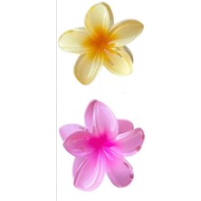Desingshop 2 Adet Lotus Saç Tokası (Pembe ve Somon)4cm