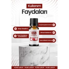 Pure Lueur 10'lu Karma Set Saf Esansiyel Uçucu Yağ Buhurdanlık Yağı Difüzör Esansı Aromaterapi, Ortam Kokusu