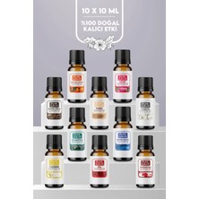 Pure Lueur 10'lu Fresh Set Saf Esansiyel Uçucu Yağ Buhurdanlık Yağı Difüzör Esansı Aromaterapi, Ortam Kokusu