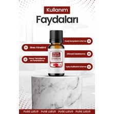 Pure Lueur 3'lü Fresh Set Saf Esansiyel Uçucu Yağ Buhurdanlık Yağı Difüzör Esans Aromaterapi Ortam Kokusu