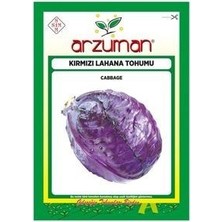 Kırmızı Lahana Mor Lahana Tohumu