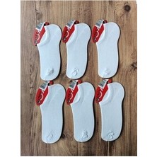 Unisex Sneakers Çorap