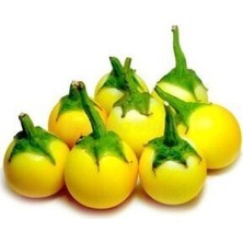 Mini Sarı Patlıcan Tohum Ithal Nadir Thayland Patlıcanı Yetiştirme Kiti
