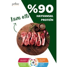 Petline Gourmet Kuzu Etli Tavuklu Ciğerli Yetişkin Kedi Maması 24KG (2X12KG)- Rainbow