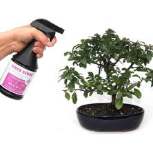 Seika Hazır Sprey Çiçeklendirici Gübre (500 Ml) Bonsai Salon Bitkisi Orkide Sukulent