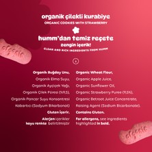 Organik Vegan Çilekli Kurabiye Atıştırmalık Paketi - 12 Adet