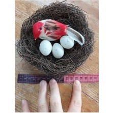 Lolipop Hobi Kuş Yuvası Kırmızı Kuş 3 Yumurta 15 cm Yapay Kuş