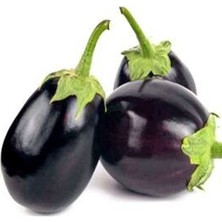 Eko Paket Adana Topak Patlıcan Tohumu 150 Adet Tohum