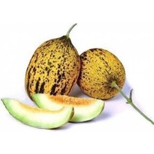 Süper Paket Altınbaş Kırkağaç Ince Kabuk Kavun Tohum 250 Adet Tohum