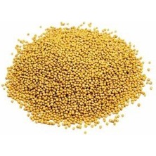 Sarı Hardal Tohumu 250 gr