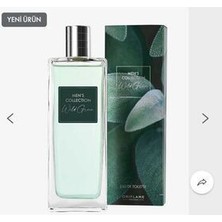 Mans Collection Men's Collection Wild Green Edt