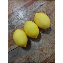 Lolipophobi Yapay Meyve, Meyve Seti, Yapay Limon Meyve, Mutfak Dekor, Dekoratif Meyve