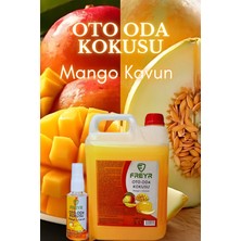 Freyr Mango Kavun Oto Parfüm 5 LT Sprey Araç Ev Ortam Kokusu ( 1 Adet 50 ml Hediye)