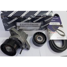 OEM Alternatör Gergi Kiti 7701477517 Clıo Iı Kango Megane 1.4-1.6-16V 7701477517