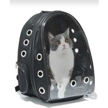 Şeffaf Hava Kanallı Kırılmaz Cam Kedi Köpek Taşıma Seyahat Çanta 42*22*33 cm Siyah