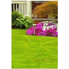 Trend Store 7li Karışım Çim Tohumu 1 kg