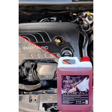 Freyr Motor Temizleyici 5kg