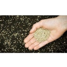 Ithal Çim Tohumu Özel 7 Lı Karışım Basmaya Gölgeleye Dayanıklı 7 Günde Çimlenir 10 kg