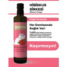 Ancyra Hibiskus Sirkesi Doğal Fermante 500 ml
