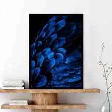 Mavi Kuş Tüyü 3 Çerçeve ve Poster - H1066