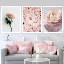 Pembe Güller Üçlü Çerçeve ve Poster Seti - B1031