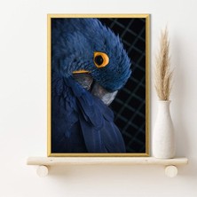 Lacivert Kuş 1 Çerçeve ve Poster - H1025