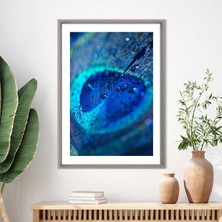 Mavi Kuş Tüyü 1 Çerçeve ve Poster - H1024