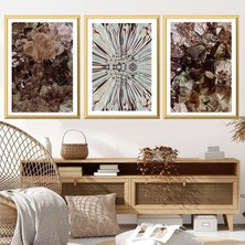 Kristal Dokular 1 Ikili Çerçeve ve Poster Seti - DK1000