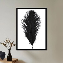 Siyah Kuş Tüyü 4 Çerçeve ve Poster - H1076