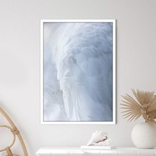 Beyaz Kuş Tüyü 1 Çerçeve ve Poster - H1068