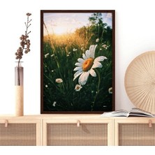 Papatyalar 1 Çerçeve ve Poster - B1147