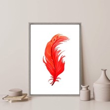 Kırmızı Kuş Tüyü 5 Çerçeve ve Poster - IL1116